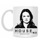 House m.d. Ellis Cameron