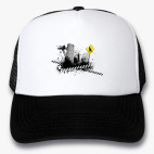 Кепки Trucker