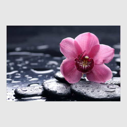 Постер с принтом Орхидея