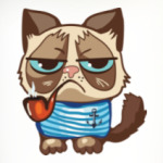 Угрюмый кот Тард - Grumpy Cat