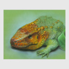 Гвианский дракон