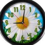 Ромашка и цифры из травы