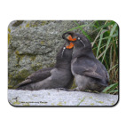 Коврик для мыши Большие конюги