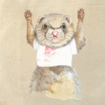 Хорек-спортсмен