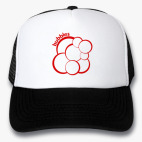 Кепки Trucker