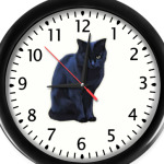 Черный кот