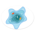 Space of the planet