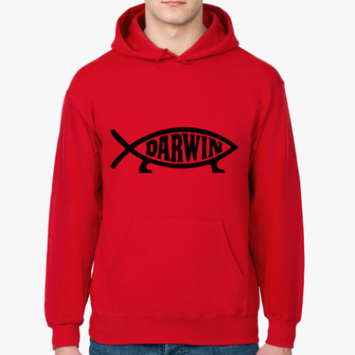 Толстовка худи с принтом Darvin