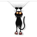 Черная кошка