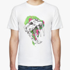  Череп саблезубого тигр