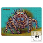 Сердитый паук