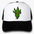 Кепки Trucker