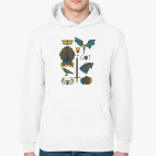 Толстовка худи