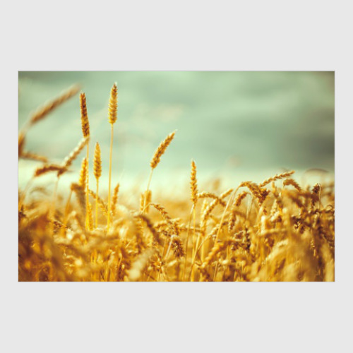 Постер с принтом Как прекрасен этот мир