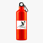 Металлическая бутылка 700 мл UV-DTF