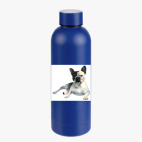 Термобутылка