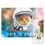 котейка космонавт