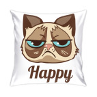 Подушка 35x35 см Угрюмый кот Тард