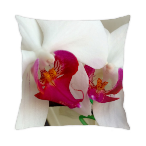 Подушка с принтом "Белая орхидея"