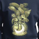 Owls are not what they seem