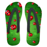 Ladybird