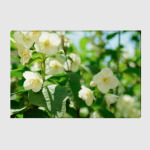 Майский день