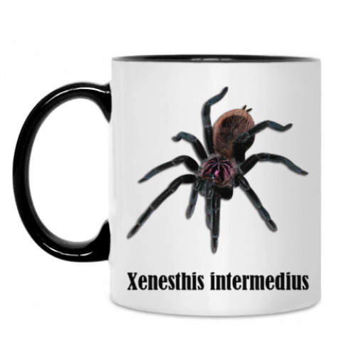 Кружка Intermedius