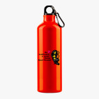 Металлическая бутылка 700 мл UV-DTF