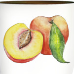 Акварель. Персики