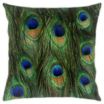 Перья павлина