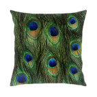 Подушка 35x35 см с цветной обратной стороной Перья павлина