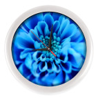 Летние цветы