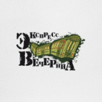 экспресс-вечерина