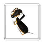 Такса Черная