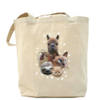 Холщовая сумка