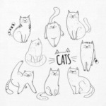 Котоколлекция