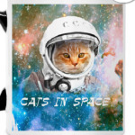Кот в космосе
