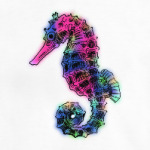 Морской Конек