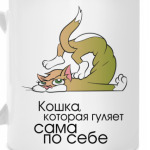 Кошка, которая гуляет сама по себе.