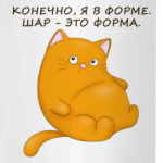 Кот в форме