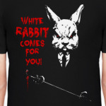 White Rabbit Comes For You !