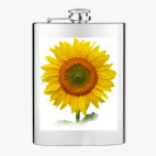 Фляжка стальная