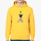 Толстовка худи