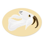 Голова белого козла