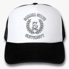 СамГУ - Самарский Государственный Университет