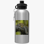 Спортивная бутылка