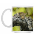 Кружка 330 мл