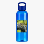 Прозрачная спортивная бутылка