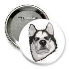 Суровый Хаски