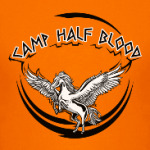 Camp Half Blood. Лагерь полукровок. Перси Джексон
